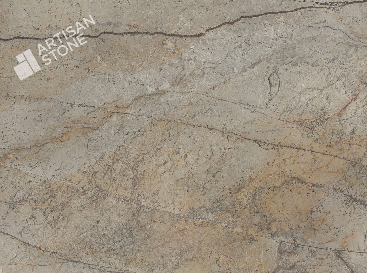 Silver Root - Atlas Plan - Close Up