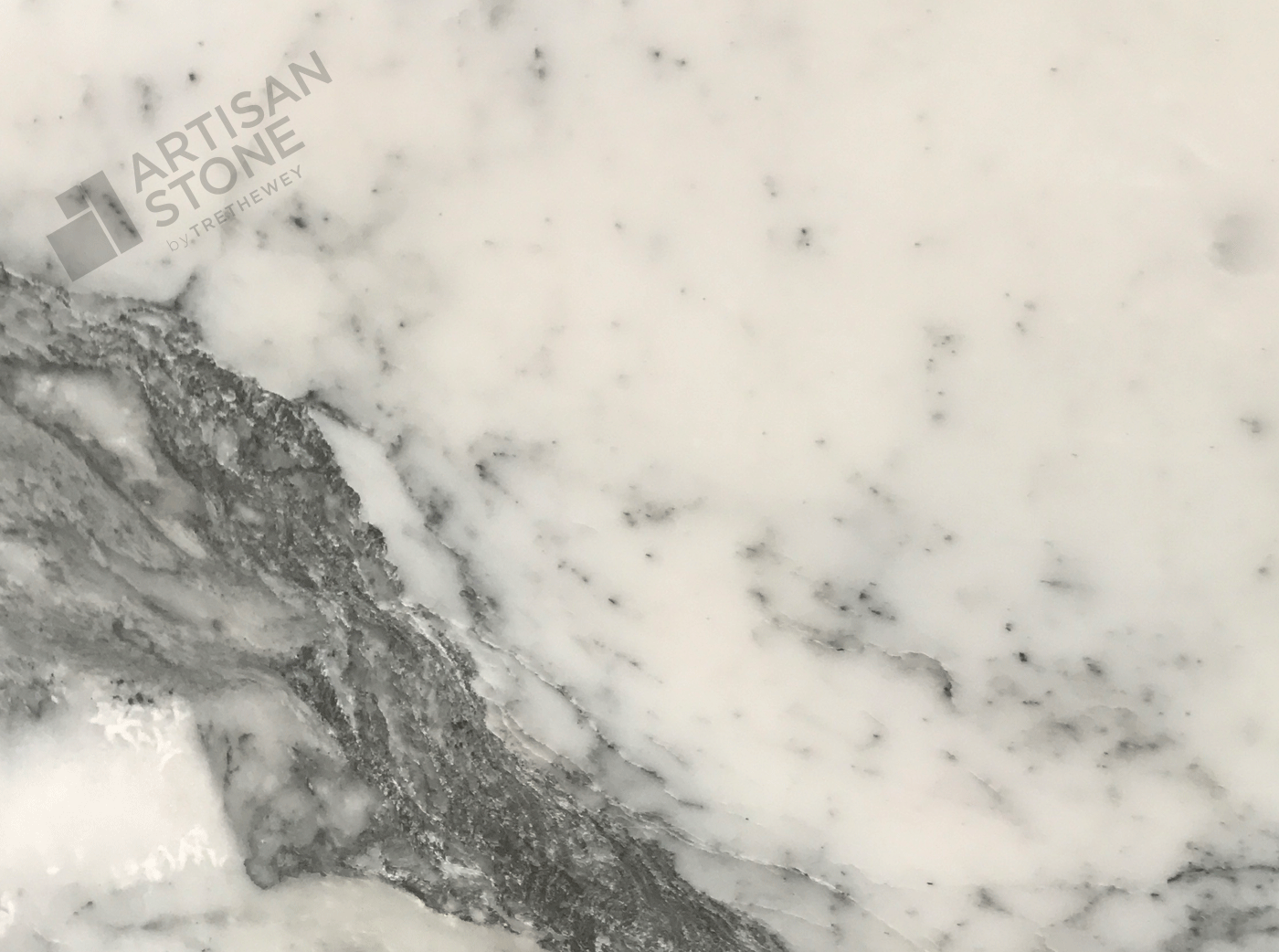 Arabescato Cervaiole - Marble - Close Up