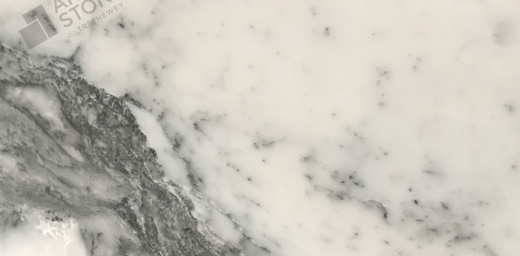 Arabescato Cervaiole - Marble - Close Up