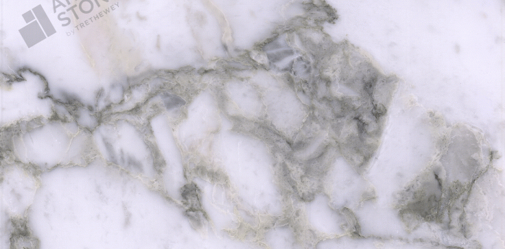 Arabescato Vagli - Marble - Close Up