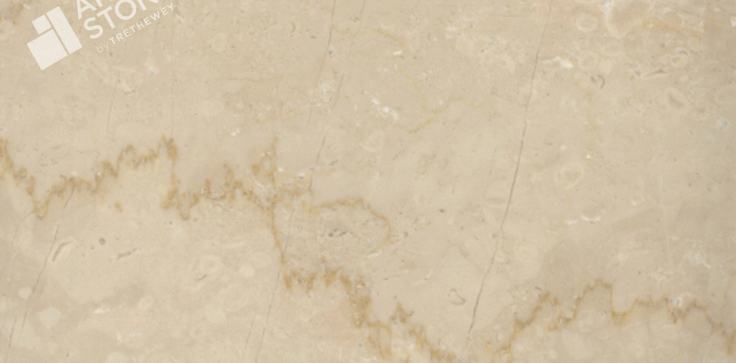 Botticino - Marble - Close Up