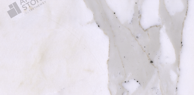 Calacatta Carrara - Marble - Close Up